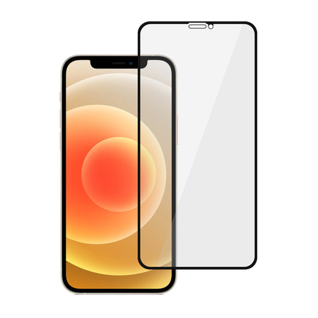 Gehärtetes Glas Tel Protect 10X Privacy Titanium mit Blickschutz (Anti-Spy) für Iphone 12/12 Pro